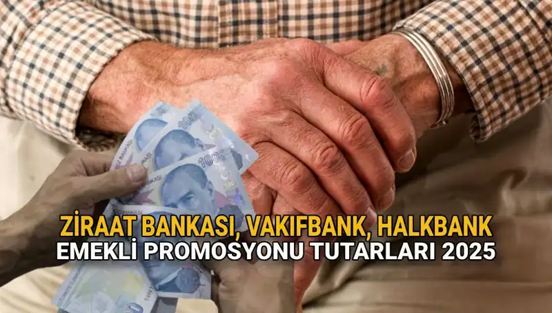 2025'te Emeklilere Yapılacak Promosyon Artışları: Kamu Bankaları Ne Sunuyor?