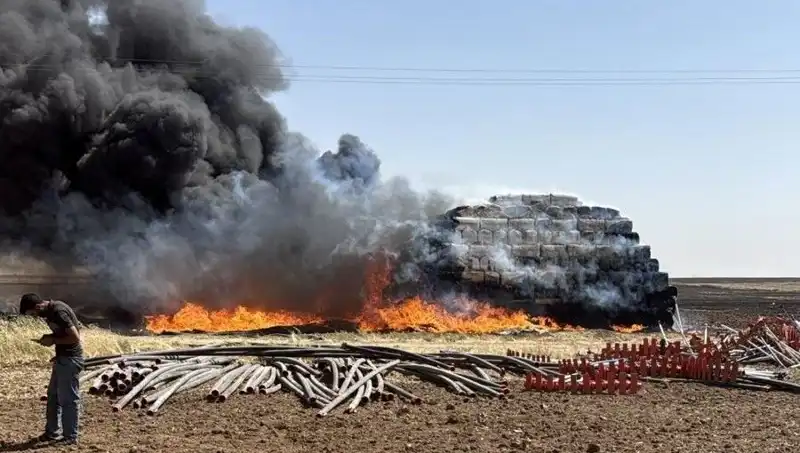 Mardin'de Kontrol Altına Alınamayan Anız Yangını Paniğe Neden Oldu