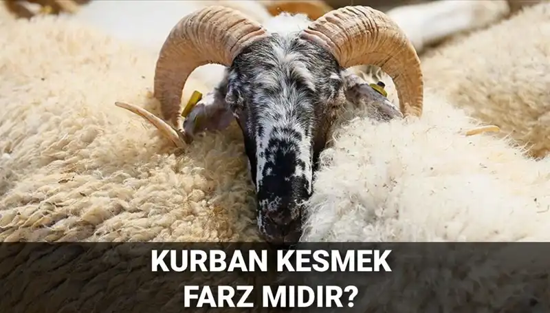 Kurban Kesmenin Dini Gereklilikleri: Ne Zaman ve Nasıl Yapılmalı?