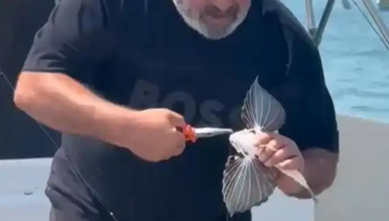 Saros Koyu'nda Heyecan Verici Bir Keşif: Nadir Kırlangıç Balığı Oltaya Takıldı