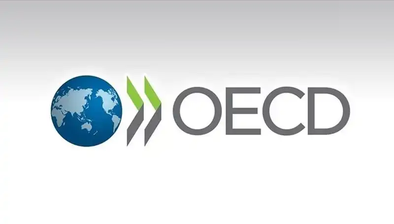 OECD, Türkiye Büyüme Tahminini Revize Etti: Ekonomik Beklentilerde Neler Değişti?