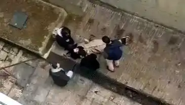 İnönü Üniversitesi'nde Köpek Paniği: Öğrenci Beton Zemine Düştü