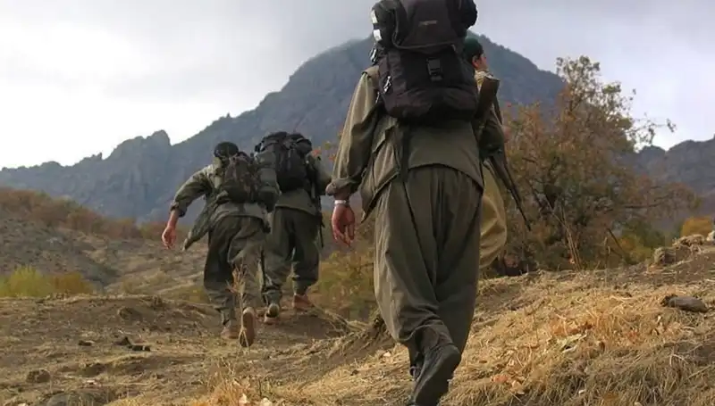 Türkiye'nin Terörsüz Geleceği İçin Kritik 48 Saat: Öcalan'ın Mesajı Kandil'e Gidecek
