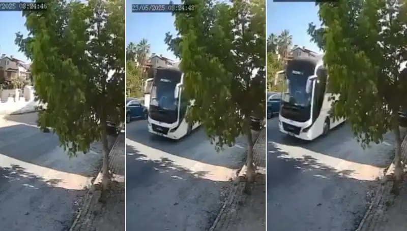 Yolda Yatan Köpeği Ezip Geçen Şoför İle İlgili Tartışmalar Alevlendi