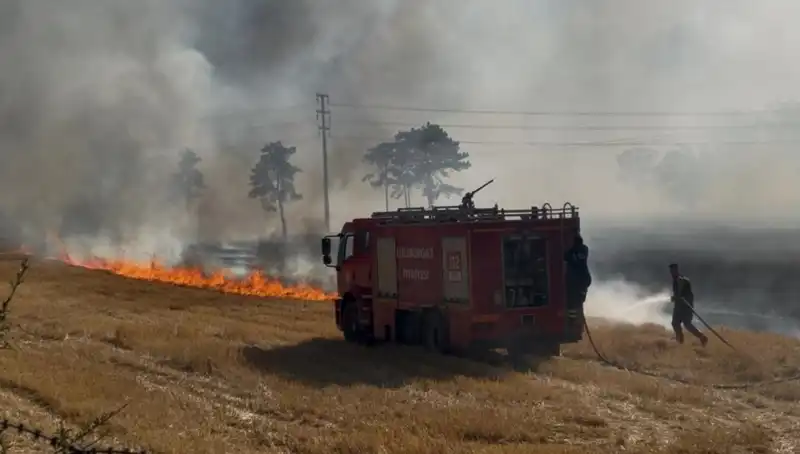Kırklareli'nde Korkutan Anız Yangını: İtfaiye Ekipleri Seferber Oldu