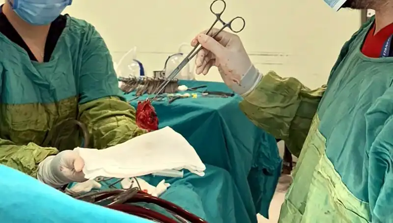 Kalp Kapağı Çürümüş: 7 Saat Süren Ameliyatla Hayat Kurtarıldı!