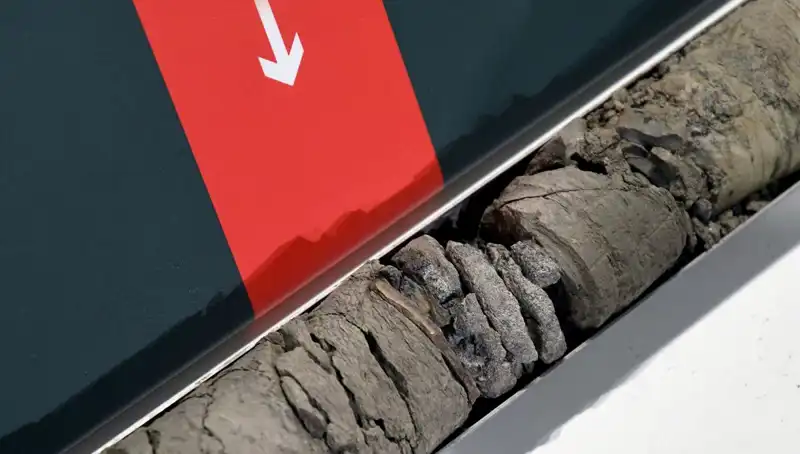 Müze Otoparkında Şaşkınlık Yaratan Dinozor Fosili Keşfi