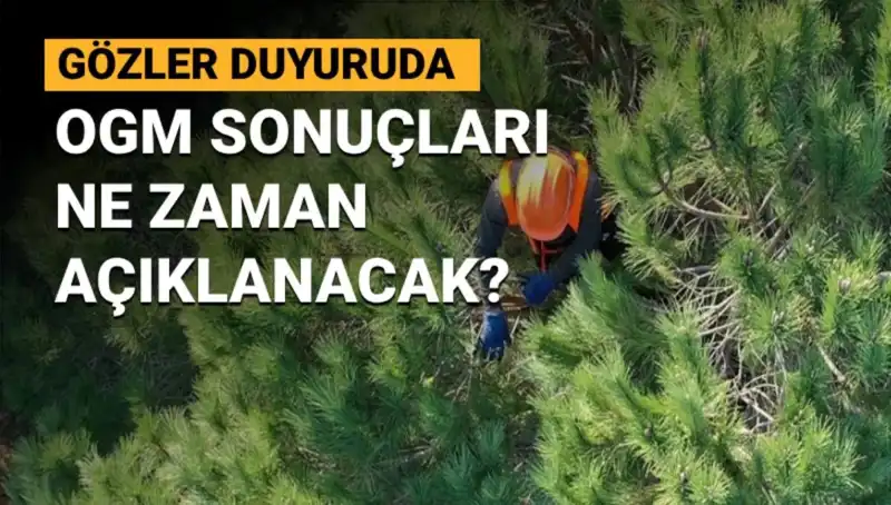 OGM Personel Alımı: 3 Bin 477 Sözleşmeli Pozisyon İçin Başvuruların Sonuçları Merakla Bekleniyor
