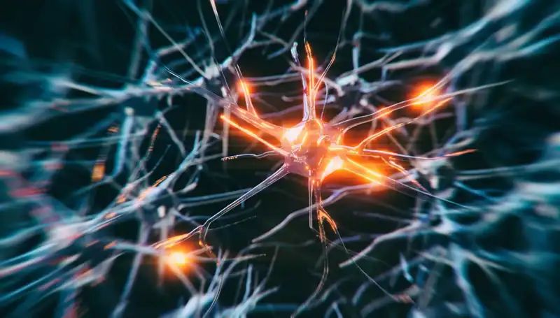 Alzheimer Vakaları Neden Artıyor? Uzmanlar Açıklıyor
