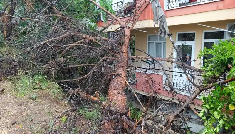Yağmurun Gücüne Dayanamadı: Bina Çöktü, Şok Etkisi Yarattı