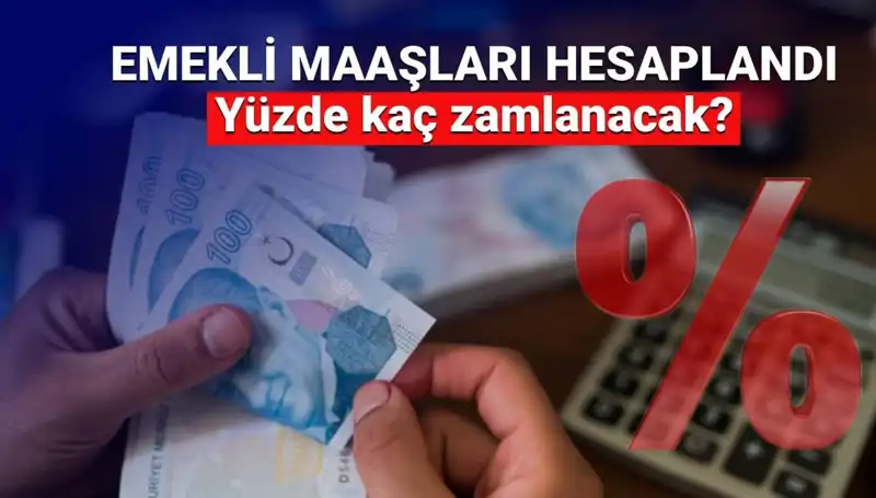 Emekli Zamları Hakkında Son Gelişmeler: 2024'te Ne Bekleniyor?
