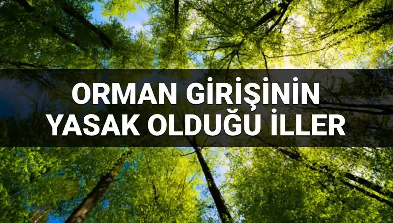 2025'te Ormana Giriş Yasakları: Hangi İllerde Yasak Var?