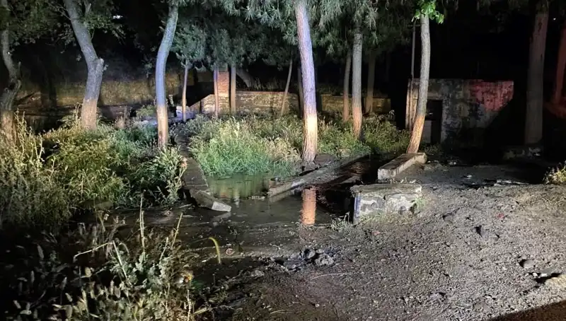 Manisa'da Parkta Yaşanan Şüpheli Ölüm Olayı Hem Tedirgin Etti Hem de Soru İşaretleri Bıraktı