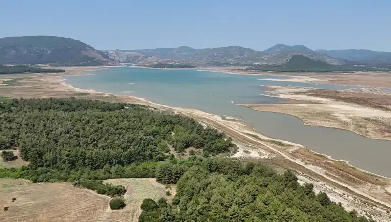 İzmir'de Tehlike Çanları Çalıyor: Yüzde 50’lik Düşüş Üzerine Neler Söyleniyor?