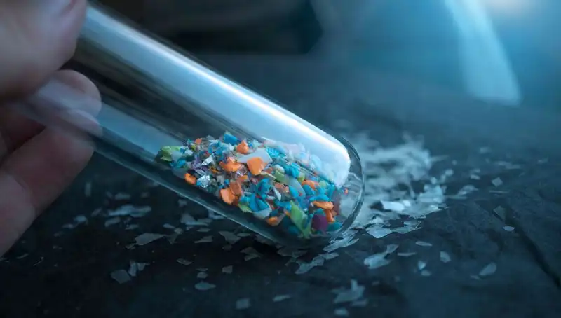 Mikroplastikler İnsan Beyninde Şok Etkileriyle Karşımıza Çıkıyor