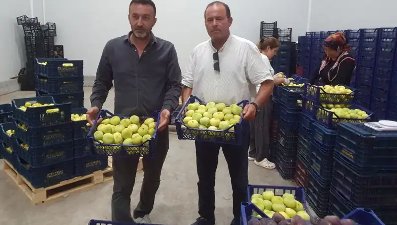 Mersinli Çiftçinin Yüzü Güldü: Tanesi 20 TL'den İhraç Edilen Ürünler