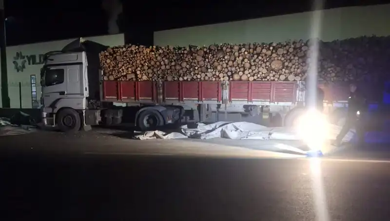 TIR Sürücüsü Brandayı Toplarken Otomobil Çarpmasıyla Hayatını Kaybetti