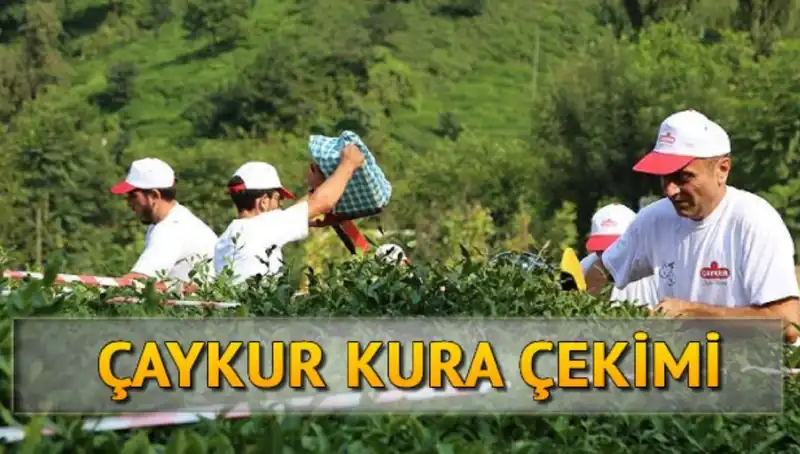 Çaykur Canlı Kura Sayfası: Kura İsim Listesi Nasıl Elde Edilir?