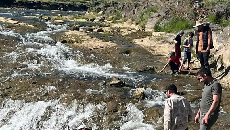 İnci Kefalinin Büyüleyici Göçü: Tüm Dünya Burada!
